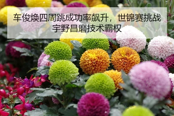 车俊焕四周跳成功率飙升，世锦赛挑战宇野昌磨技术霸权