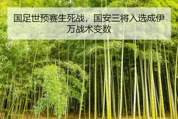 国足世预赛生死战，国安三将入选成伊万战术变数